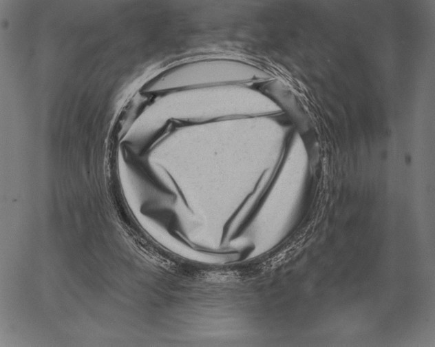 X0000066950248200604211822