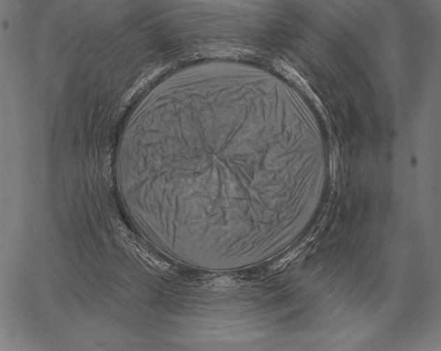 X0000066950249200604211822