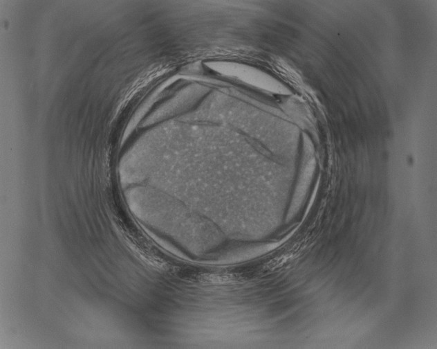 X0000066950250200604211822