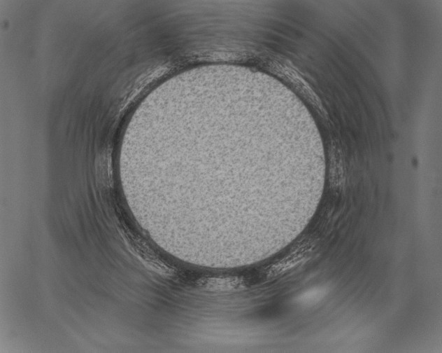 X0000066950251200604211822