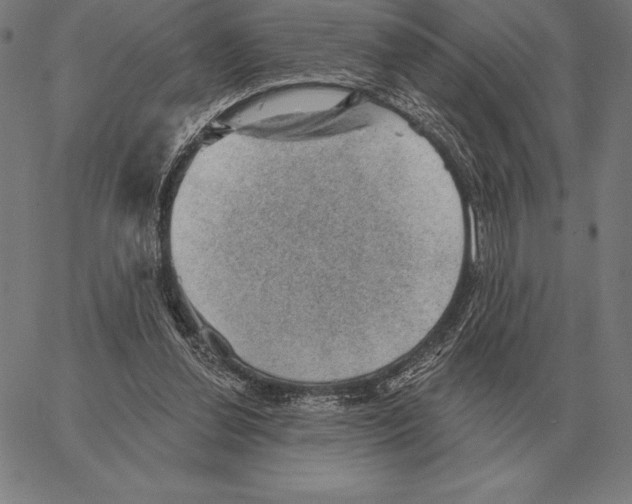 X0000066950252200604211822