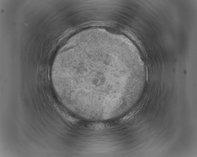 X0000066950253200604211822