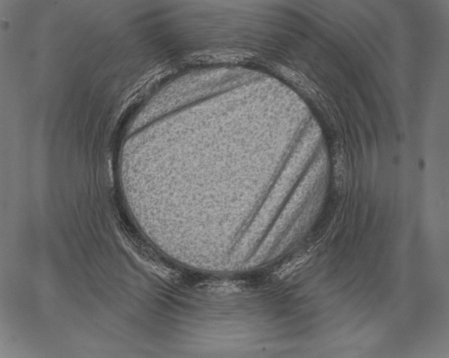 X0000066950254200604211822