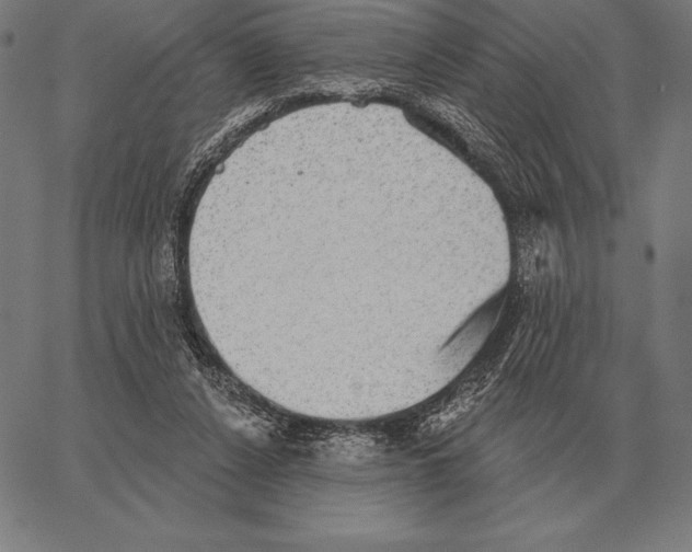 X0000066950256200604211822