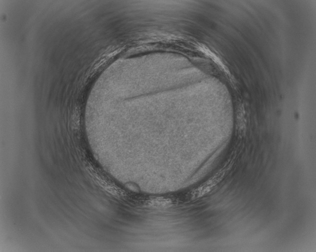 X0000066950257200604211822