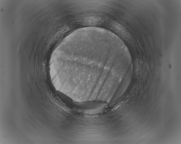 X0000066950258200604211823