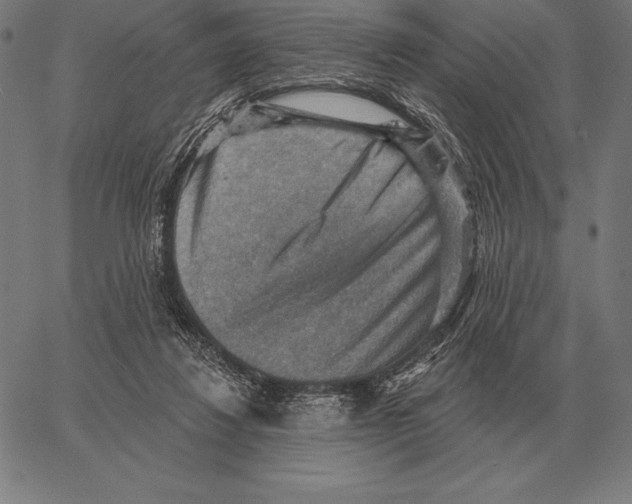 X0000066950260200604211823