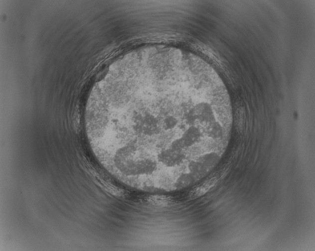 X0000066950261200604211823