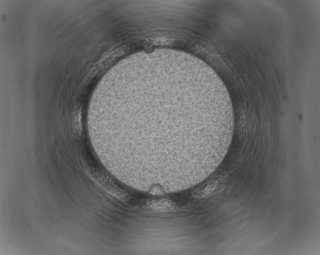 X0000066950262200604211823