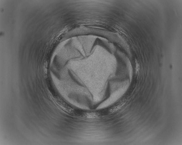 X0000066950264200604211823