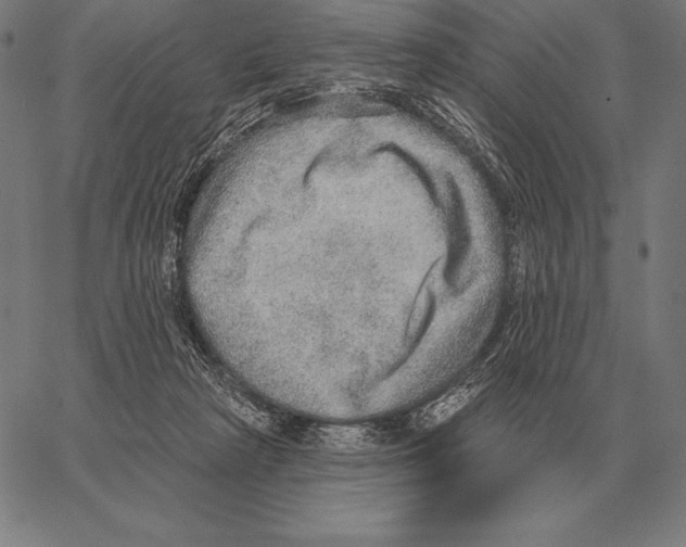 X0000066950265200604211823