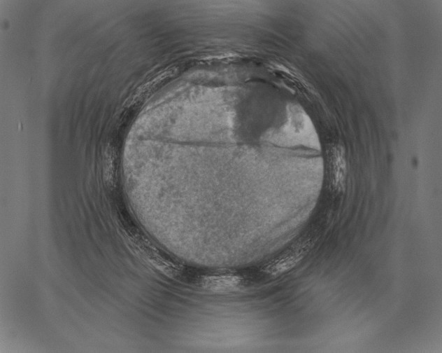 X0000066950266200604211823