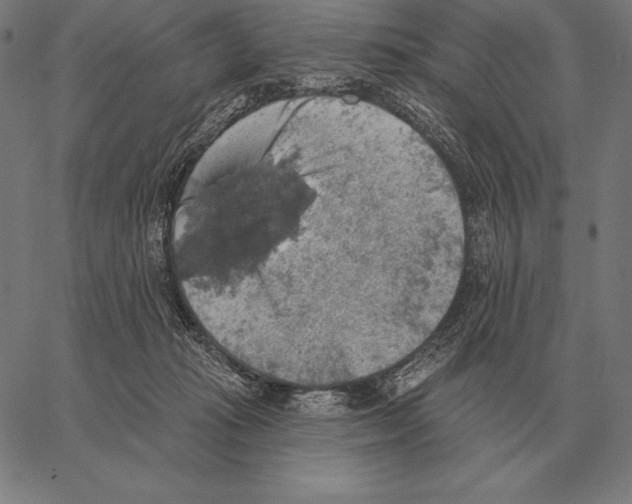 X0000066950269200604211823