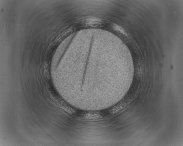 X0000066950270200604211823