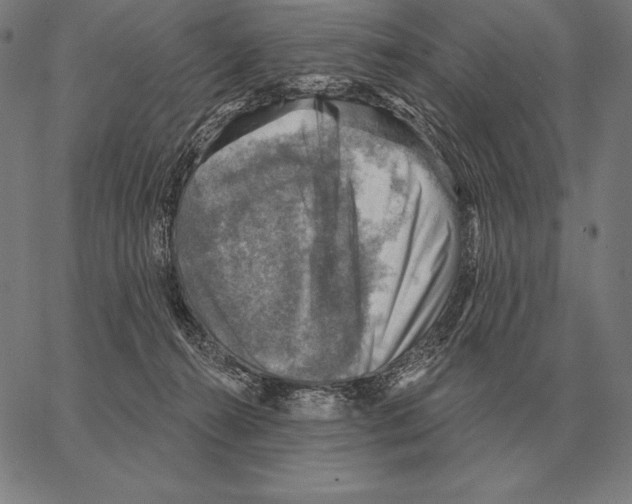 X0000066950272200604211823