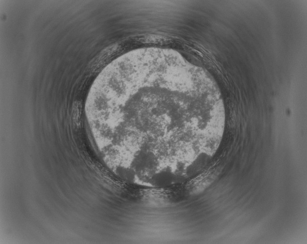 X0000066950273200604211823