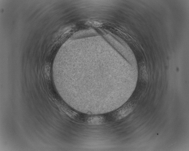 X0000066950274200604211823