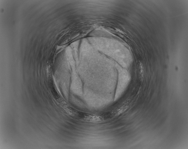 X0000066950276200604211823