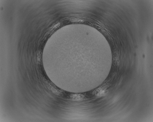 X0000066950277200604211823