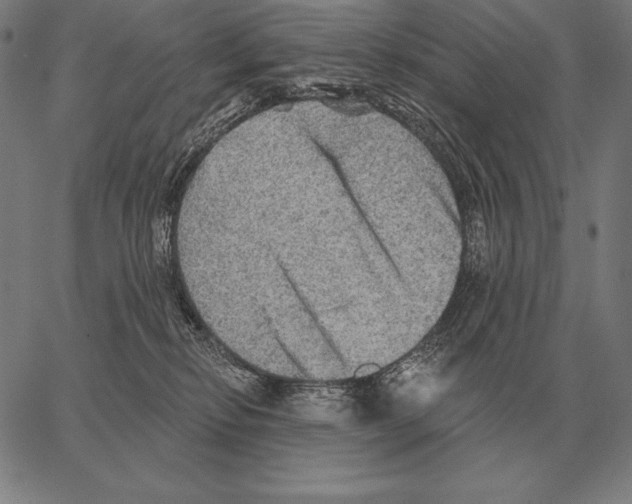 X0000066950278200604211823