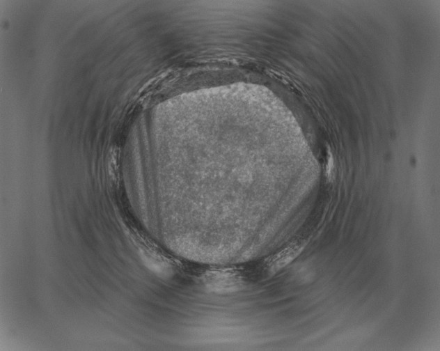 X0000066950280200604211823