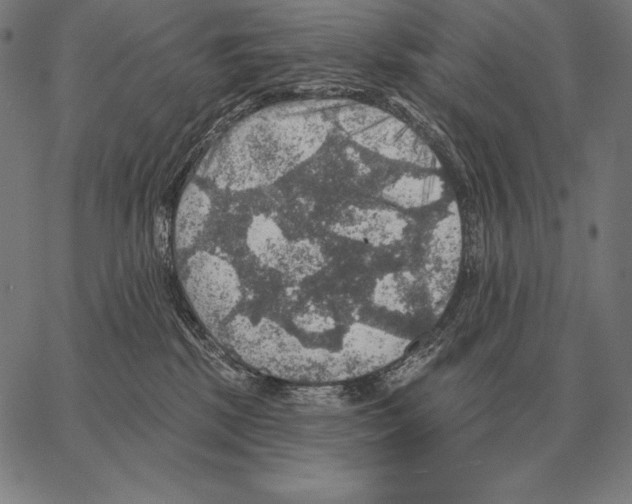 X0000066950281200604211823