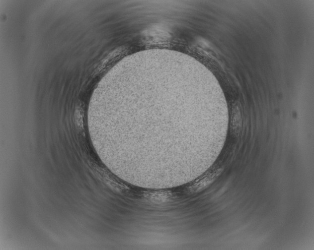 X0000066950282200604211823