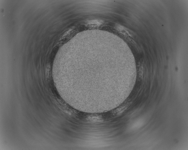 X0000066950283200604211823