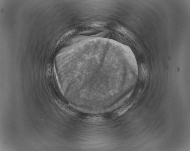 X0000066950284200604211823