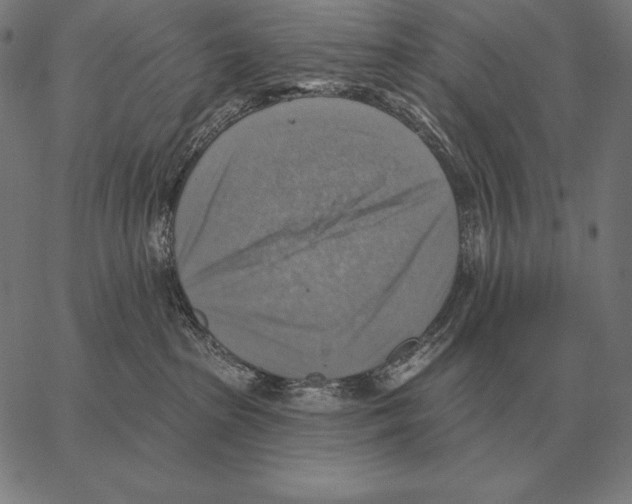 X0000066950285200604211823