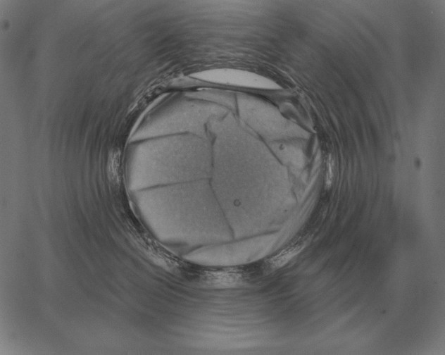 X0000066950286200604211823