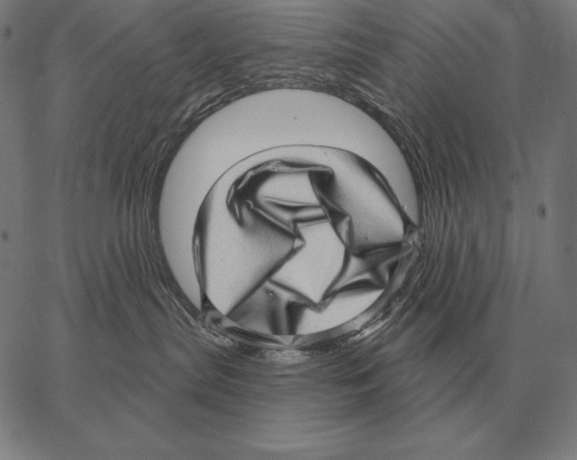 X0000066950287200604211823