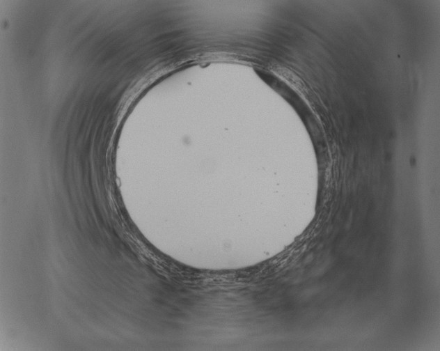 X0000066950289200604211822