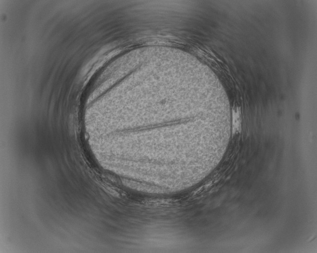 X0000066950291200604211822