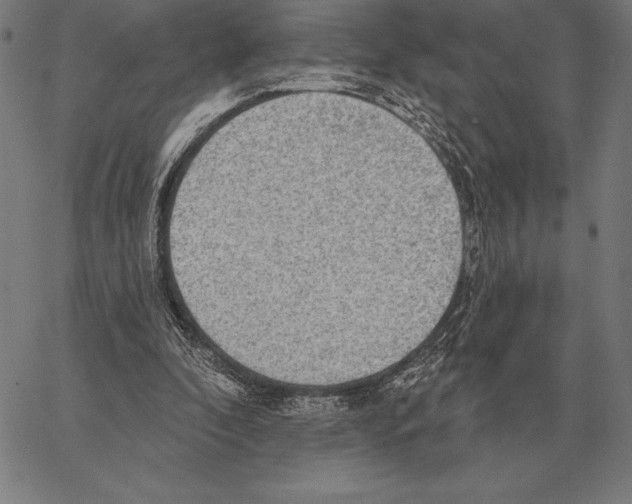 X0000066950296200604211822