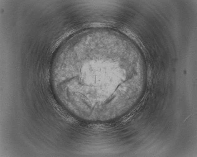 X0000066950297200604211822