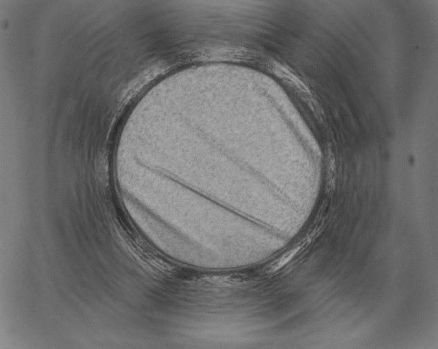 X0000066950298200604211822