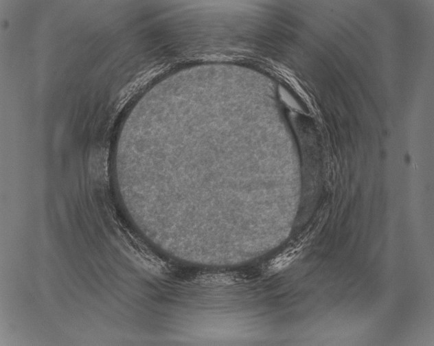 X0000066950299200604211822