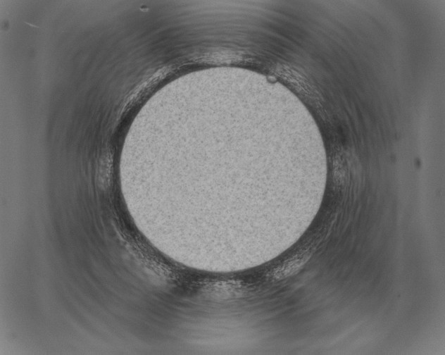 X0000066950304200604211822