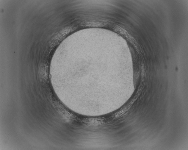 X0000066950305200604211822