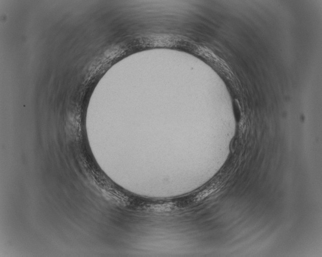 X0000066950306200604211822