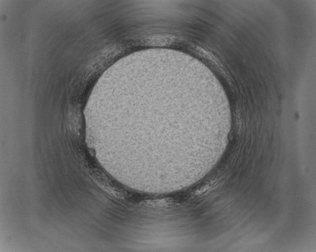 X0000066950307200604211822