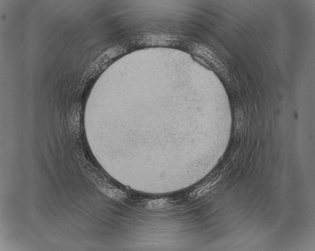 X0000066950309200604211822