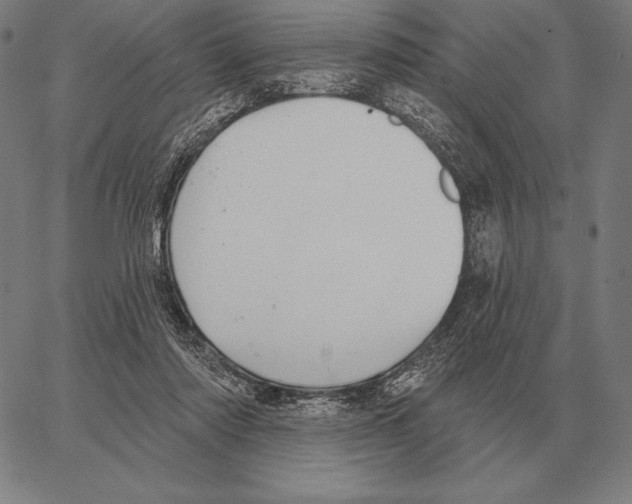 X0000066950310200604211822