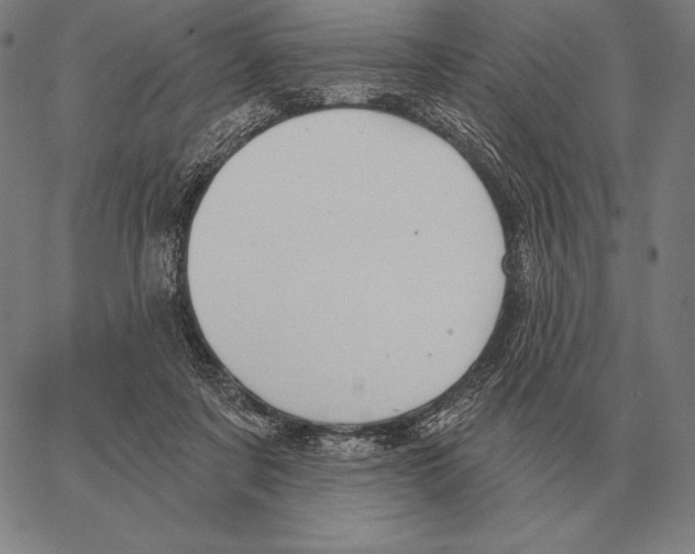 X0000066950311200604211822