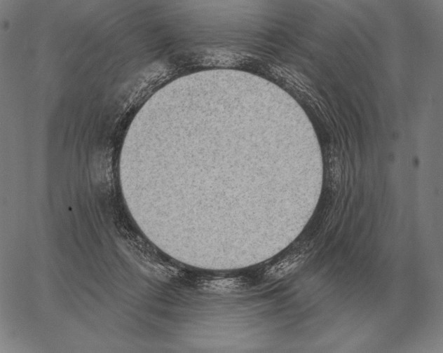 X0000066950312200604211822