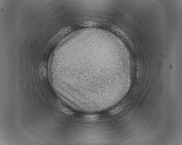 X0000066950313200604211822