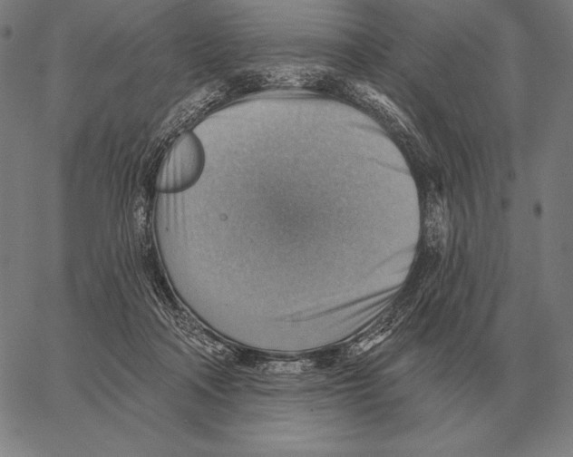 X0000066950314200604211822