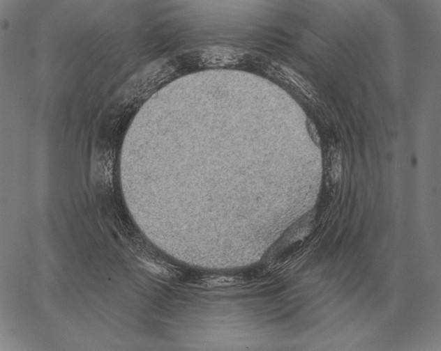 X0000066950315200604211822