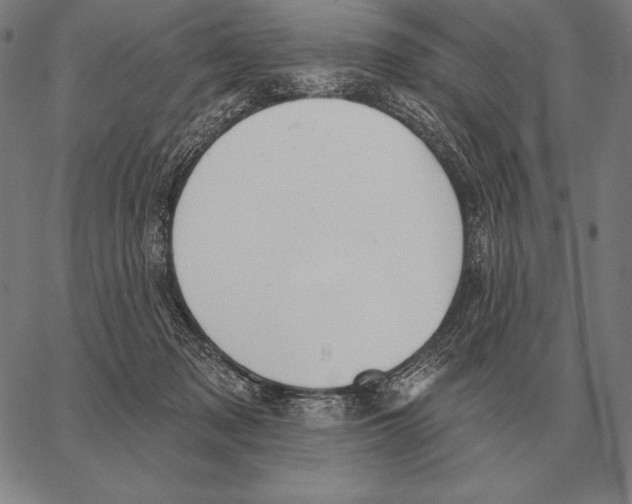 X0000066950317200604211822